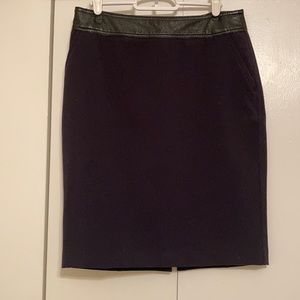 Navy & Black Skirt